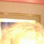 Profile picture of Wanda Dodge